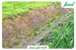 زهکشی زمین